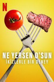 Ne Yersen O’sun: İkizlerle Bir Deney